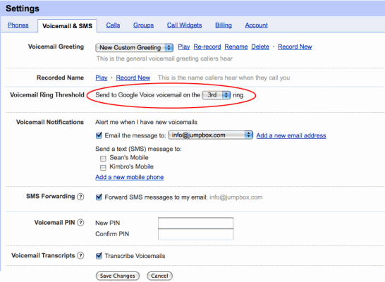 googleVoiceFeatureRequest
