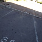 IMG_0006 IMG_0006